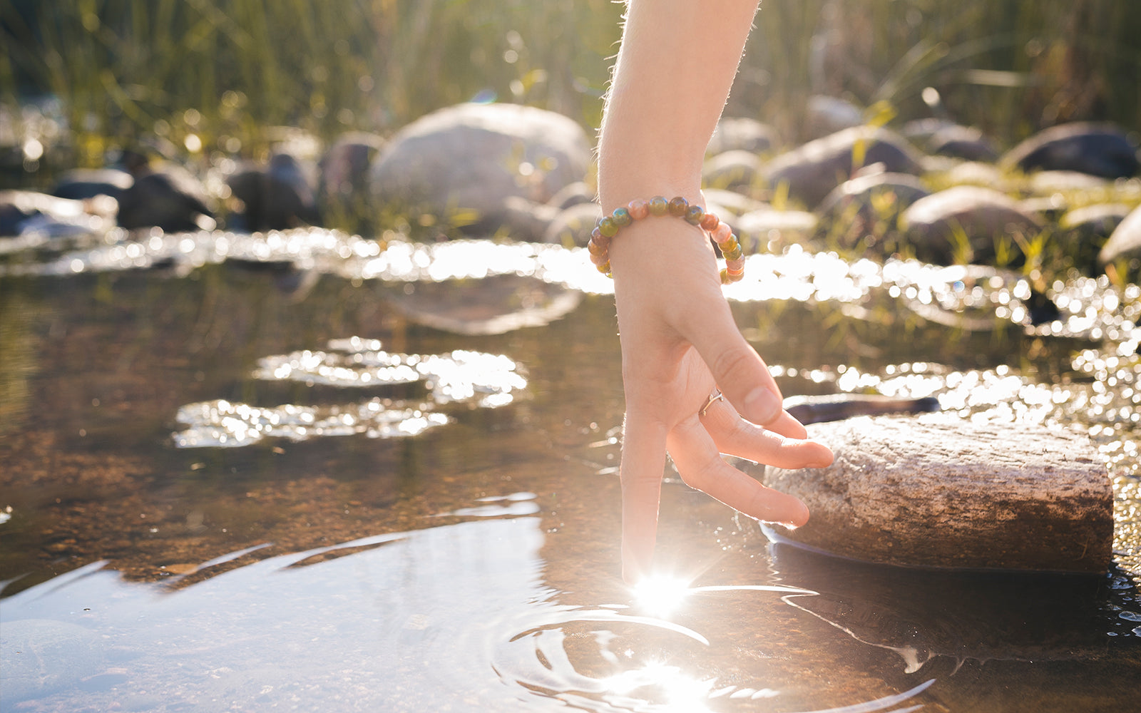 Earth&#39;s Nourishing Energies