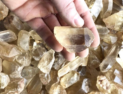 Citrine Crystal Rough Gemaceuticals